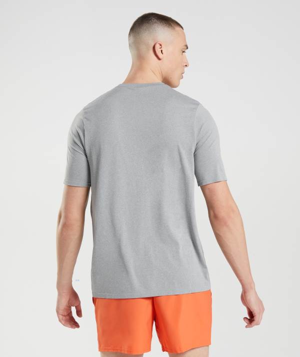 Panske Tricka Gymshark Arrival Seamless Siva | WK3897264